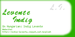 levente indig business card